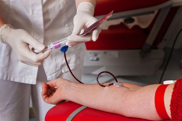 Doná sangre en verano