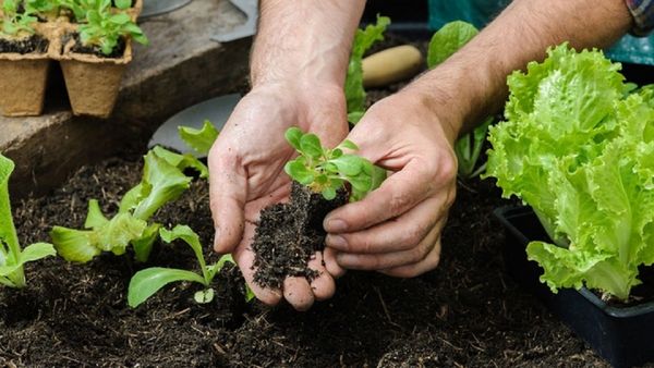 Taller de Huerta Agroecológica en Ituzaingó