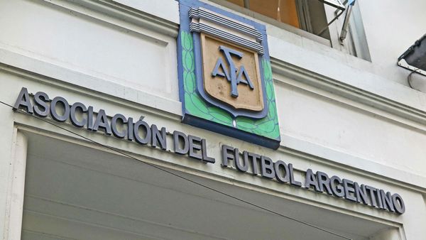 La AFA eliminaría un descenso de la Liga Profesional