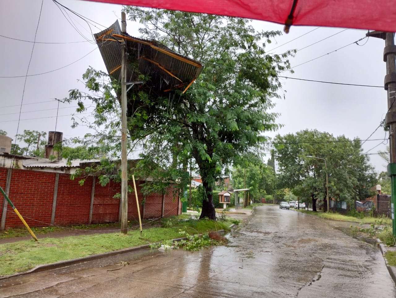 Temporal en Ituzaingó: 200 arboles caídos, 70 techos volados y postes ...